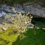 Ponte Fontana Oda ve Kahvaltı 3*