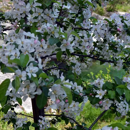 Ponte Fontana 3* Campiglia Cervo