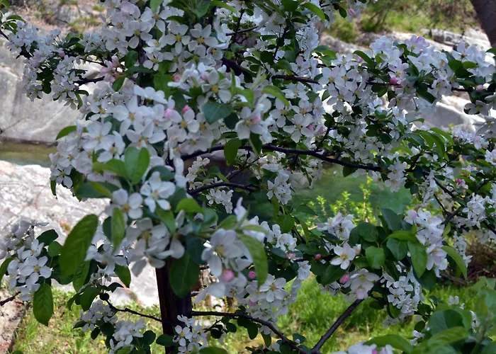 Ponte Fontana 3* Campiglia Cervo